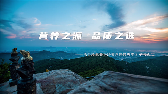 爱普动物营养保健