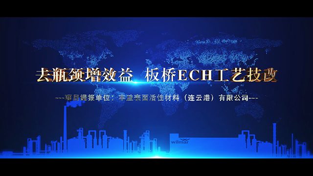 丰益油脂ECH工艺技改项目