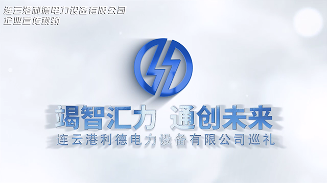 利德电力（2021版）